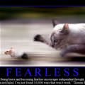 fearless