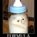 formula