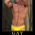 Motivational_pics-gay