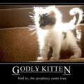 godly kitten