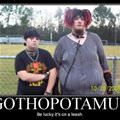 gothopotamus