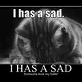 i has a sad