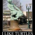 i like turtles