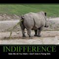 indifference