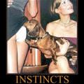 instincts