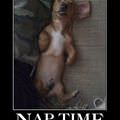 its nap time
