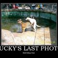 luckys last photo