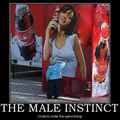 male instinct