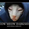 meow meow darkside