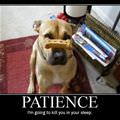 patience