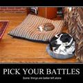 pick your battles