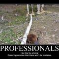 professionals