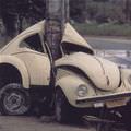 punch buggy