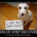 Motivational_pics-recovery