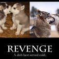 revenge