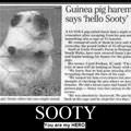 sooty is my hero