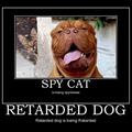 spy and retard