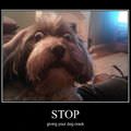 stop it