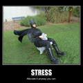 stress