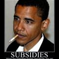 subsidies