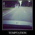 temptation