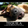 tequila