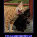 the annoying drunk