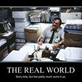 the real world