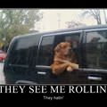 they see me rollin