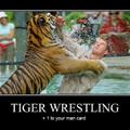 tiger wrestling