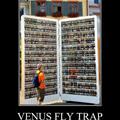 venus fly trap