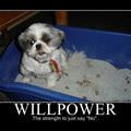 willpower