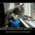 your cute kittys life